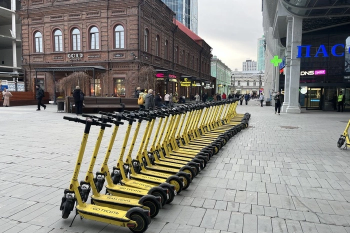 С самокатчиками в Екатеринбурге будет разбираться главный следователь России