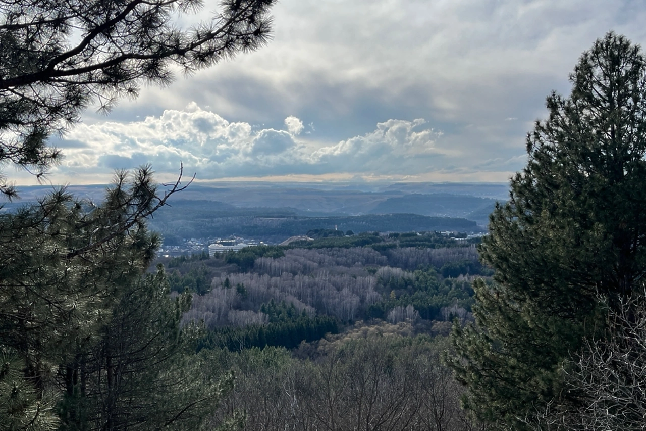 До +12 градусов потеплеет в Свердловской области