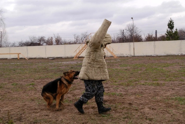 В Екатеринбурге ограбленная девушка преследовала разбойников до подъезда