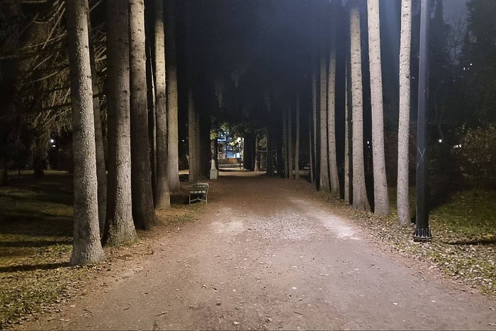 В Дендропарке на Первомайской появилось освещение