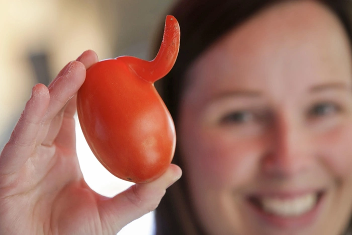 Турецкие помидоры могут вернуться в Россию уже в сентябре