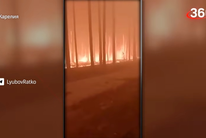 Наталья Зубаревич: Лесные пожары — плата России за свои территории
