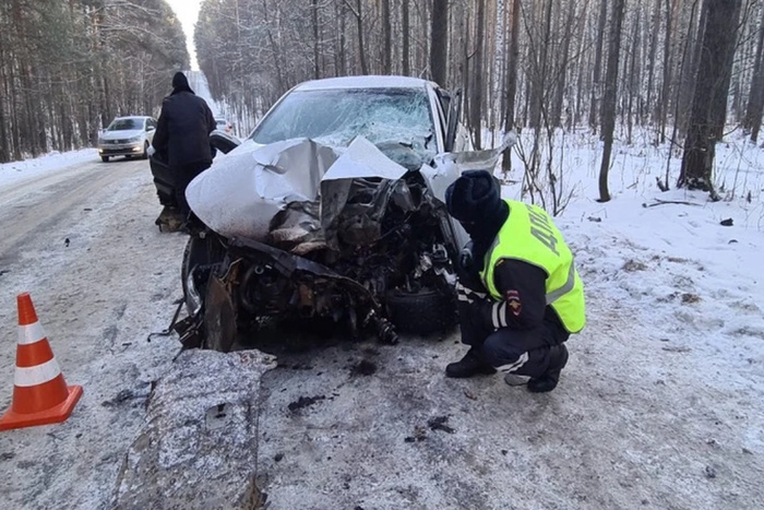 В Свердловской области водитель пытался скрыться от ГИБДД, врезался в дерево и погиб