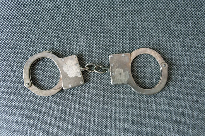 Екатеринбуржца, сбросившего с балкона щенка, приговорил к 5 годам тюрьмы