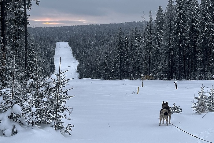 До -42 градусов похолодает в Свердловской области