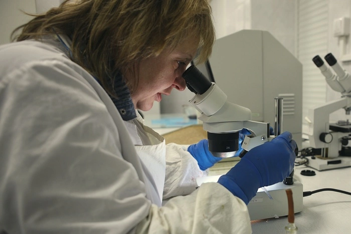 В области проверят на безопасность скотомогильники с сибирской язвой