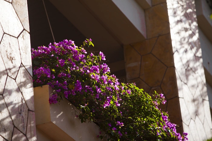 hh.ru составил для екатеринбуржцев ТОП-5 вакансий с переездом в теплый климат