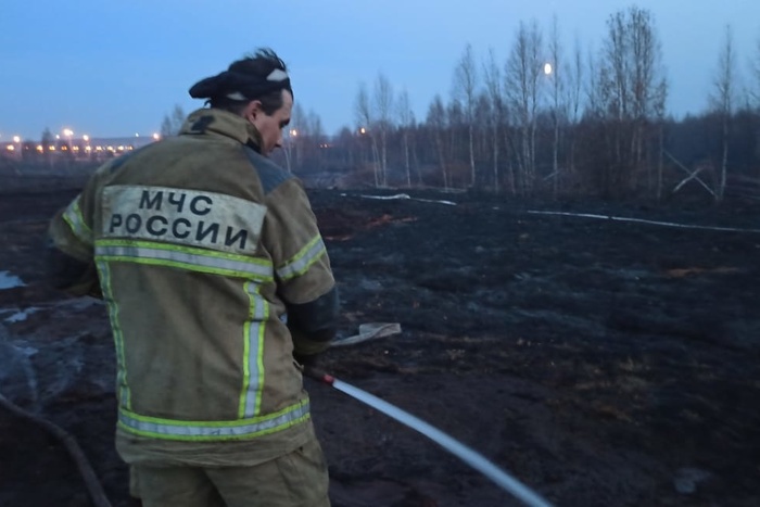 В МЧС назвали вероятную причину пожара в Солнечном, из-за которого смог окутал город