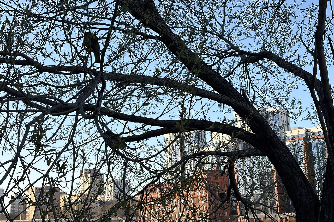 В Свердловской области объявлен режим беспилотной опасности