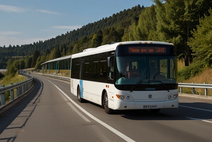 Из Тюмени запустят автобусы за границу