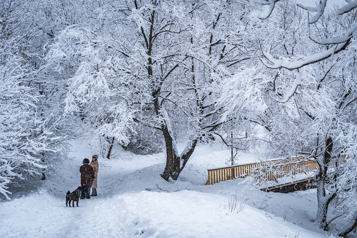 Участникам Международного дня танца придется выступать на морозе и в снег