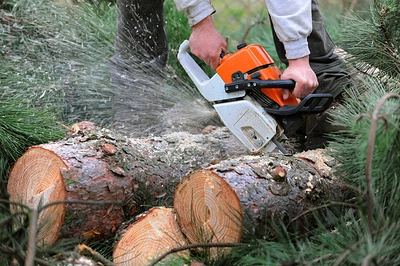 «Черный лесоруб» из Невьянска заплатит миллионный штраф