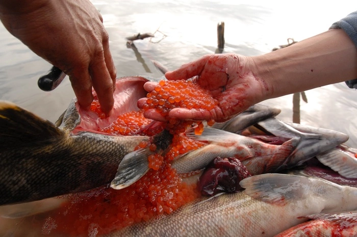 Скворцова заявила о высокой алкоголизации населения Дальнего Востока