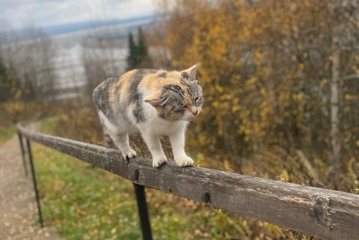 Синоптики рассказали, какой будет погода в сентябре в Свердловской области