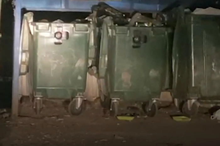 Екатеринбуржцы жалуются на переполненные мусорные контейнеры