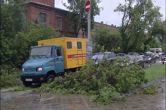 Упавшее дерево парализовало движение на Хохрякова