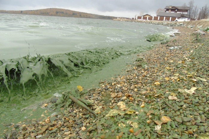 В Нижнем Тагиле к 2025 году построят очистные сооружения за 31 млрд руб