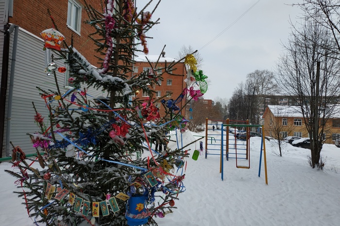 Свердловчанам напомнили, где можно выбросить новогоднюю елку