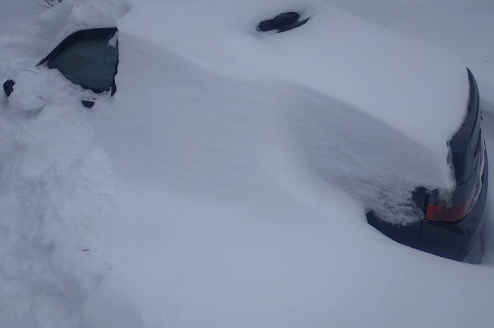 До +8 градусов потеплеет в Екатеринбурге к началу новой недели