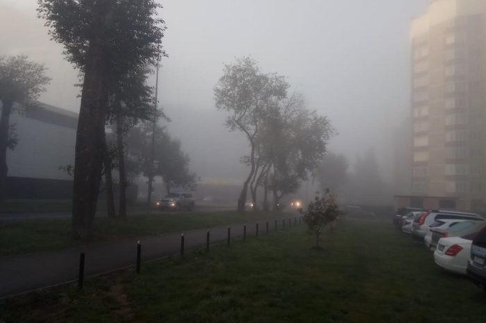 Самолет из Екатеринбурга, летевший в Питер, приземлился в Москве из-за тумана