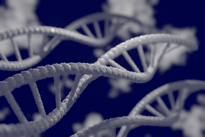 В человеческом ДНК нашли ген, помогающий коронавирусу заражать людей