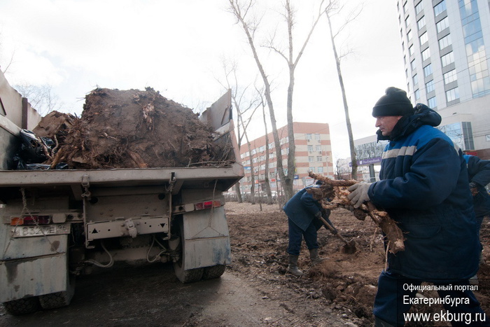 Городские власти начали реконструкцию сквера на Белинского