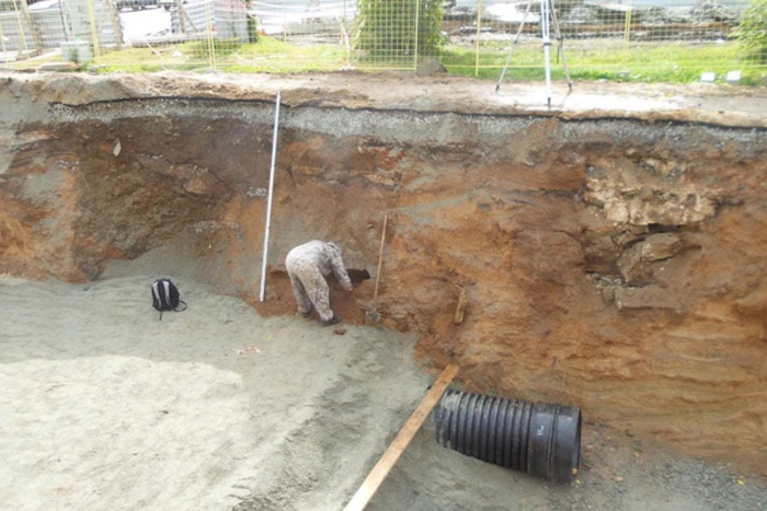 Найденные останки 15 человек в Екатеринбурге отправили на экспертизу археологам