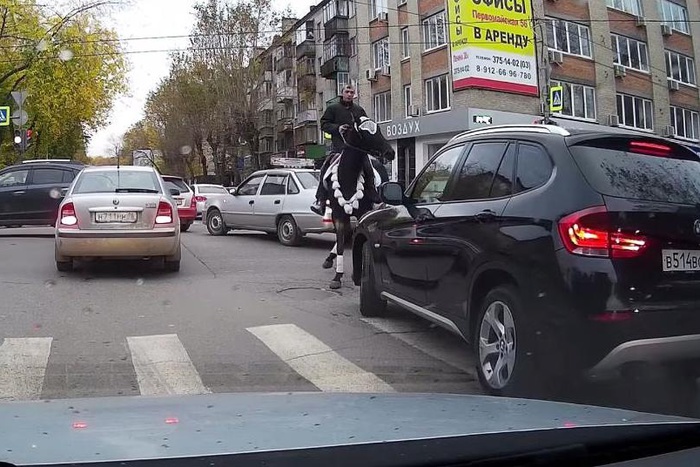 В Екатеринбурге BMW и лошадь не поделили дорогу на «зебре»