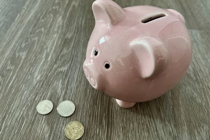 В Екатеринбурге обнаружили фальшивую монету в 5 рублей. Кому это нужно?