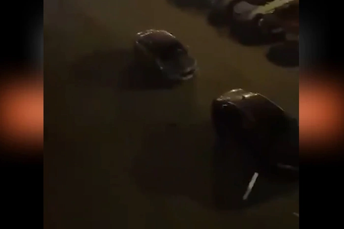 Екатеринбурженка едва не лишилась авто из-за летающей мебели