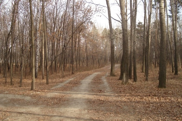 Екатеринбургские депутаты готовы вступиться за парк возле стадиона РТИ
