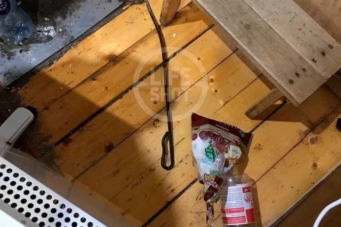 Бьёт за четвёрки: 10-летняя школьница пожаловалась на опекуншу