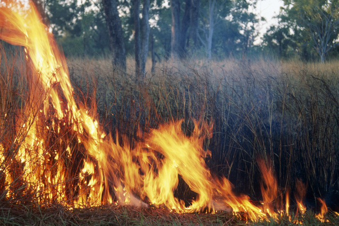 В Свердловской области с начала сезона произошло 267 возгораний сухой травы