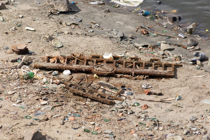 Учёные рассказали, к каким последствиям для пруда приведёт строительство храма