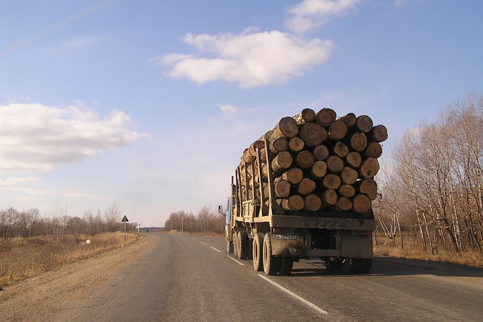 Россия может запретить экспорт леса в Финляндию