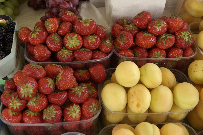 Собирать фрукты в Крыму взяли только половину желающих студентов