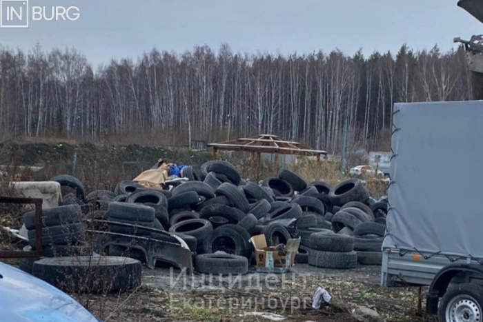Жители Мичуринского пожаловались на помойку, устроенную местным автосервисом