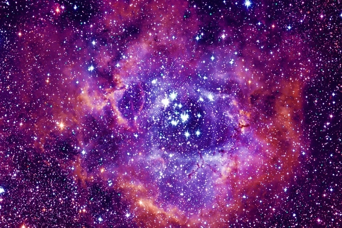 Есть ли жизнь на других планетах?