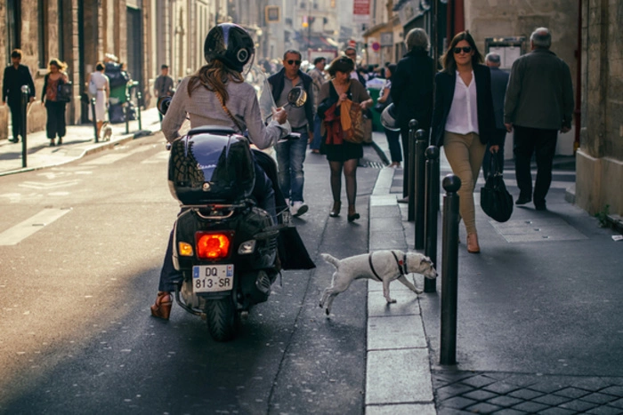В Екатеринбурге внедрят новый способ борьбы с уличной грязью
