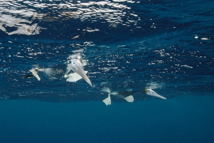 Два дайвера, в том числе инструктор, утонули в выходные в Свердловской области