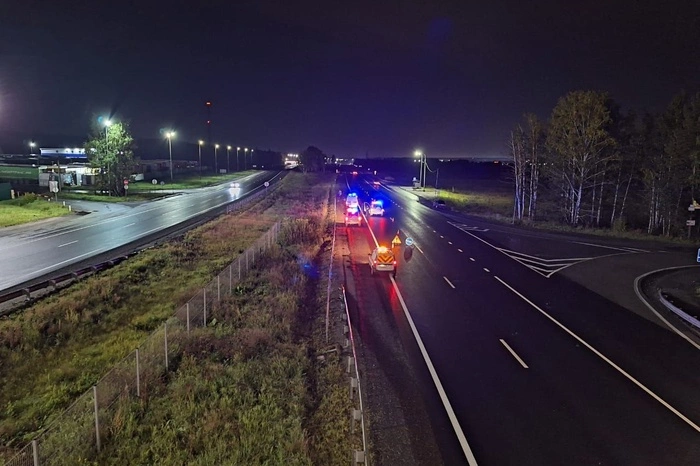 Пешеход погиб, дважды попав под машину на трассе под Верхним Дуброво