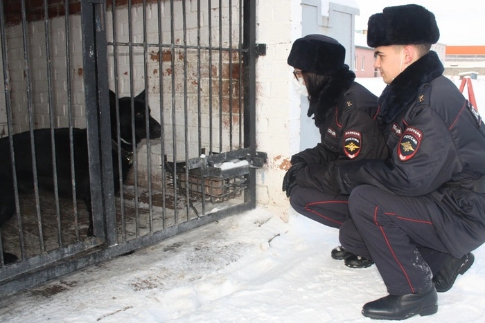 В Екатеринбурге «Майбах» нашёл пистолет в салоне легкового автомобиля