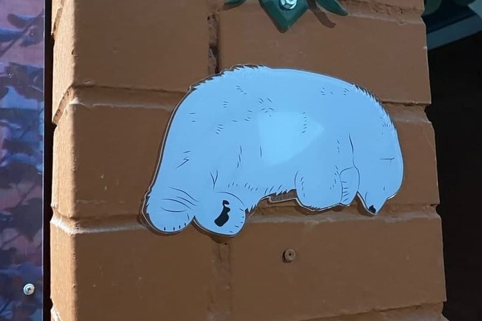 В память об Умке: на стенах зоопарка разместили табличку после трагической гибели медведя