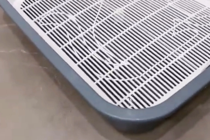 Ученые рассказали об опасности кошек для пожилых людей