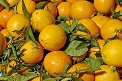Апельсины разрушают женщин изнутри