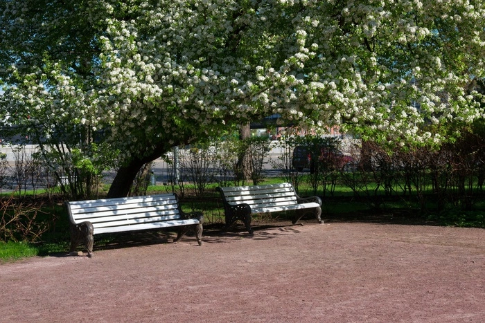 Жители Екатеринбурга выбрали имя для нового парка