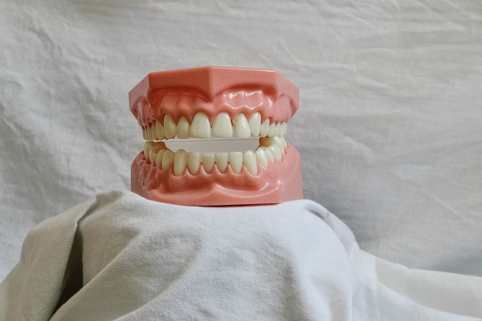 Ученый рассказал, почему у японцев и финнов зубы крепче, чем у россиян
