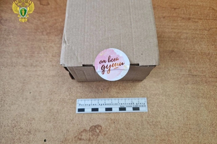 В Талице семейная пара продавала галлюциногены под видом шоколадных конфет ручной работы. ФОТО