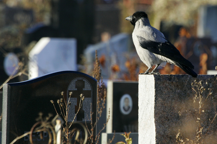 В России разрешат частные кладбища