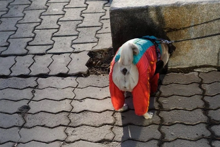 Холод вернется в Свердловскую область после потепления до +13